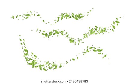 Set of waves made of green leaves. Abstract wind swirls with green leaves. Green leaves in motion on a white background