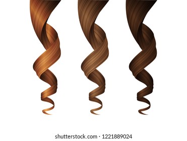 
Set of Wavy Hair Curls in Various Colors. Vector Realistic 3d Illustration. Design Element for Hairdressers, Beauty Salons, Hair Care Cosmetics, Shampoo, Conditioner or Hair Dye Packaging