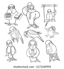 Set of wavy parrot different images. vector illustration