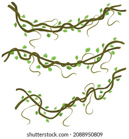 Conjunto de ramas de liana tejidas. Elementos de diseño. ilustración vectorial plana aislada en fondo blanco