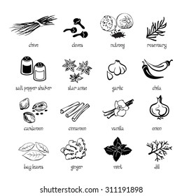 Set of web icon set - spices, condiments and herbs