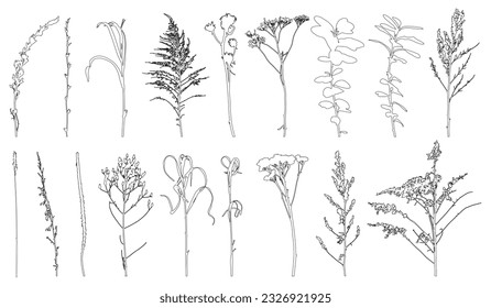 Set of weeds, wild plants in field and forest for architecture and landscape design, contour. Vector illustration