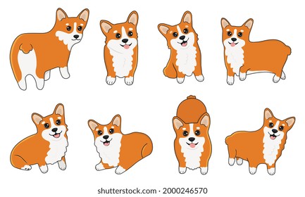 Set of welsh corgi in cartoon  style. Collection of dog characters, flat illustration for design, decor, print, stickers, posters. Vector illustration isolated on a white background.