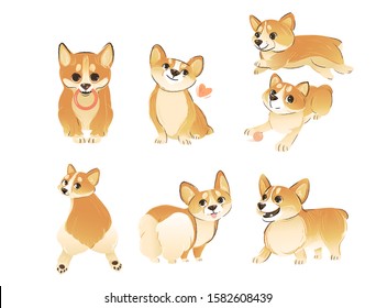 Set of Welsh Corgi dog standing and sitting in different poses cartoon style, vector illustration isolated on white background. Front and back and side views of playful purebred funny puppy pet