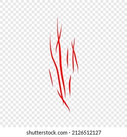 Mit Werwolf, Katze oder Biest roter Kratzer auf transparentem Hintergrund. Vier Wundmarken. Einziger Druck mit Wildtierralle. Monster-Schild. Genus feline Symbol flache Vektorgrafik.