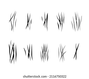 Set with werewolf, cat or beast scratch scrape on white background. Four wound marks. Isolated print with wild animal claw. Monster sign. Genus feline symbol flat vector illustration.