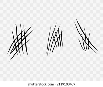 Se coloca con arañazos de lobo, gato o bestia sobre fondo transparente. Cuatro marcas de heridas. Impresión aislada con garra animal salvaje. Señal de monstruo. Ilustración del vector plano del símbolo felino de género.
