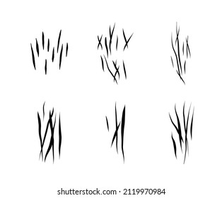 Se coloca con arañazos de lobo, gato o bestia sobre fondo blanco. Cuatro marcas de heridas. Impresión aislada con garra animal salvaje. Señal de monstruo. Ilustración del vector plano del símbolo felino de género.