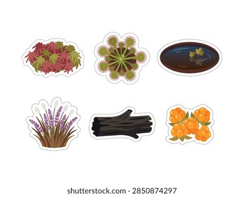 Set of Wetland Flora and Forest Elements Stickers Featuring Bog Plants and Natural Objects