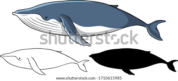大きなマッコウクジラのリアルなイラスト 口を開け 鋭い大きな歯を持つ巨大なマッコウクジラ のイラスト素材