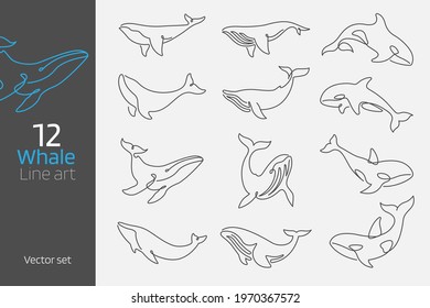 Set of whale continuous line art vector illustration for brand and logo design or tattoo minimal and contour lines concept.