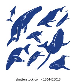 Set of Whale design vector, Creative Whale illustration template
