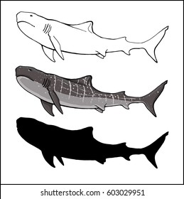 set of whale shark: contour, silhouette and color