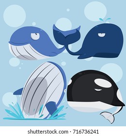 set whale vector illustration