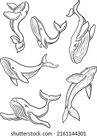 Set of Whale vector illustration on white background.