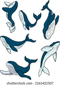 Set of Whale vector illustration on white background.