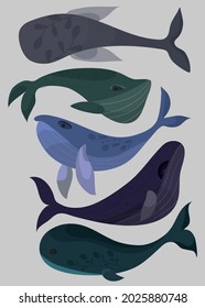 A set of whales. Ecology. World Oceans Day. Problems of ocean pollution. A poster calling for the solution of a social problem. Clean up the ocean. Save the planet.