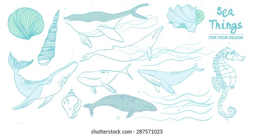 set of whales and marine animals on a white background in the style of a pencil. Hand Drawn Illustrations of Humpback and Sperm Whales.