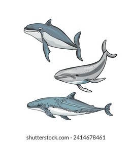 Set of whales and sharks. Isolated illustration of underwater animals. Isolated as a blank for designers, icon, logo