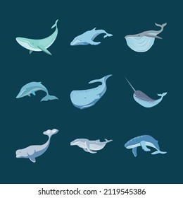 set of whales undersea life