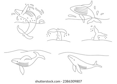 Set with whales, World Whale Day banner or card, doodle style flat vector outline for coloring book