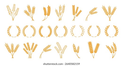 Set of wheat barley ears vector illustration