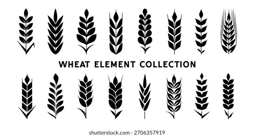 Set of Wheat Ear Icons and Stylized Grain Elements. Botanical Branches for Logos and Decorative Vector Design