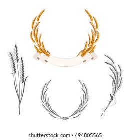 Set of wheat ears with banner and ribbon. Decorative elements for bakery badges and logos. Vector illustration
