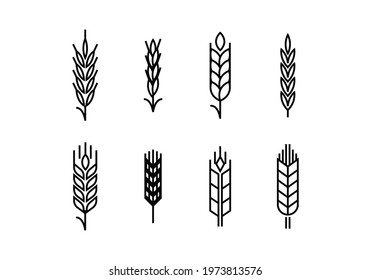 set of wheat ears icons vector
