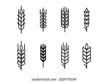 conjunto de orejas de trigo iconos lineales vector
