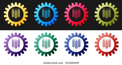 Set Wheat and gear icon isolated on black and white background. Agriculture symbol with cereal grains and industrial gears. Industrial and agricultural. Vector.
