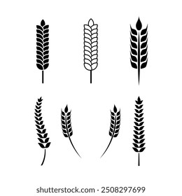 Set of Wheat or grain icon vector logo design template