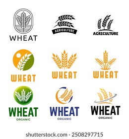 Set of Wheat or grain logo vector logo design template