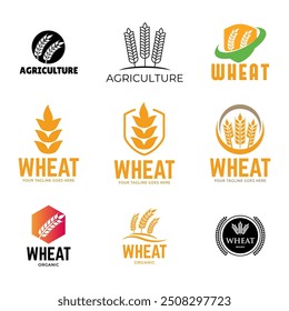 Set of Wheat or grain logo vector logo design template