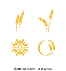 Set Wheat icon Vector Illustration design Logo template
