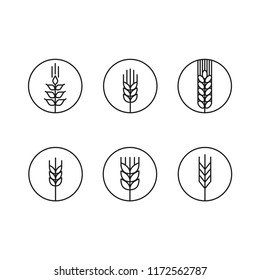 Set of wheat icons. Using for logo or sign of agriculture product. Simple design. Isolate on white background.