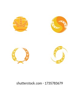 Set Wheat Logo Template vector symbol nature
