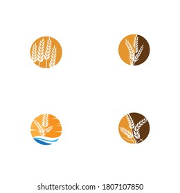 Set Wheat Logo Template vector symbol nature