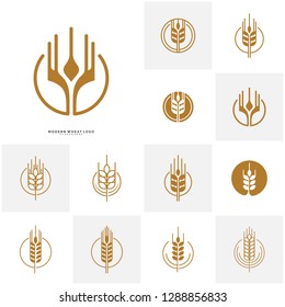 Set of Wheat Luxury Grain and bread labels. Nature wheat. Agriculture wheat Logo Template Vector