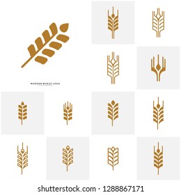 Set of Wheat Luxury Grain and bread labels. Nature wheat. Agriculture wheat Logo Template Vector