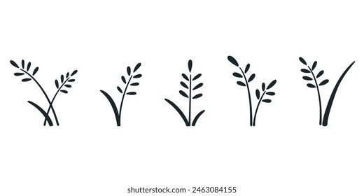 Set of wheat, rice, barley, oat spikelets icon. Hand drawn ink crops growth. Wheat symbol, vector graphic
