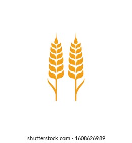 set of wheat rice Logo Template 