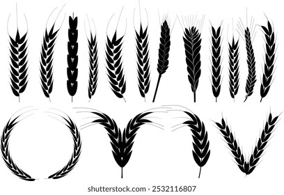 Set of wheat seed vector silhouette icon illustration.