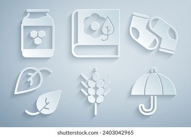 Set Wheat, Socks, Leaf, Umbrella, Herbarium and Jar of honey icon. Vector