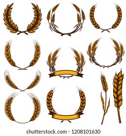 Set of wheat spikelet illustrations isolated on white background. Design element for poster, card, emblem, sign, card, banner. Vector image