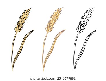 Set wheat stalk in black and gold colors, simple hand drawn vector illustration