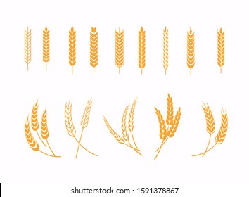 Set of wheats ears icons and wheat design elements. Harvest wheat grain, growth rice stalk and whole bread grains or field cereal nutritious.