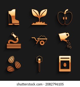 Set Wheelbarrow with dirt, Shovel, Pack full of seeds of plant, Watering can, Seeds, Garden hose, Apple and Waterproof rubber boot icon. Vector