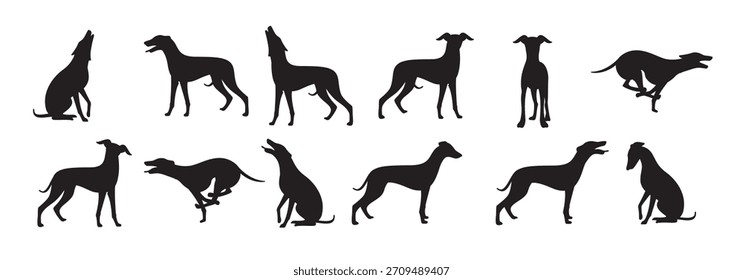 Satz von Whippet, Vektorgrafik