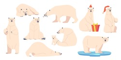 Set White Bear, Wild Arctic Animal Predator In Different Postures. North Pole Creature With White Fur Holding Giftbox Wearing Santa Claus Hat, Zoo Inhabitant, Mom With Cub. Cartoon Vector Illustration